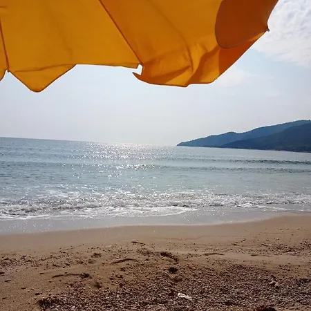 Art * Stavros (Thessaloniki)