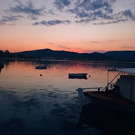 Case de vacanță Art *