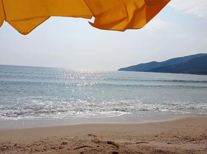 Art * Stavros (Thessaloniki)